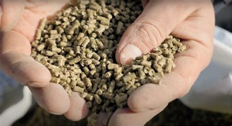 animal nutrition philippines